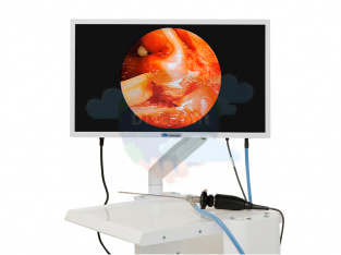 Система эндоскопической визуализации DS.Vision FHD 3in1
