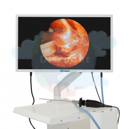 Система эндоскопической визуализации DS.Vision FHD 3in1